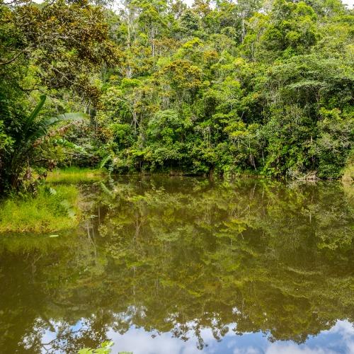 Andasibe Nationaal Park