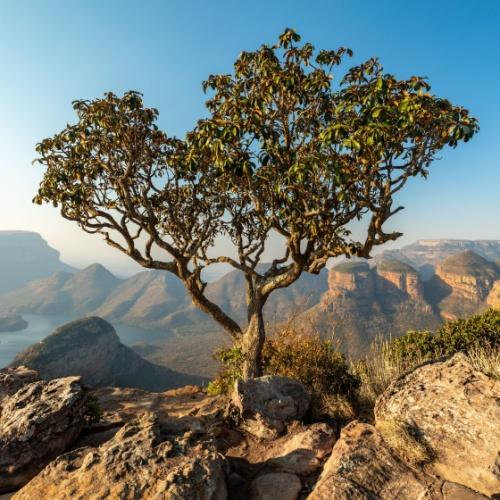 Blyde River Canyon (Panorama Route)