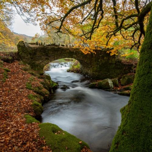 Exmoor National Park