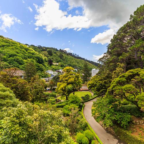 Botanische Tuinen in Wellington