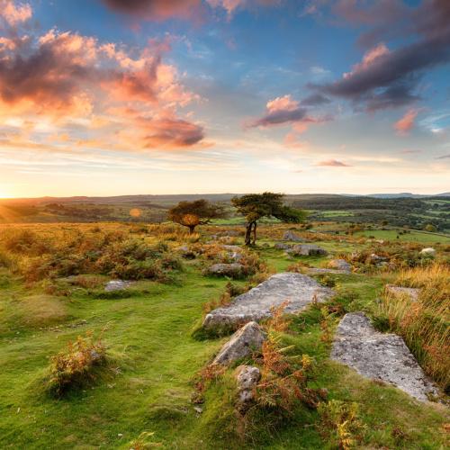 Dartmoor National Park