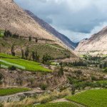 Elqui vallei Chili