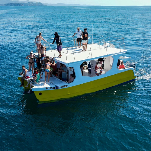 Samara / Playa Carrillo - Seafari 