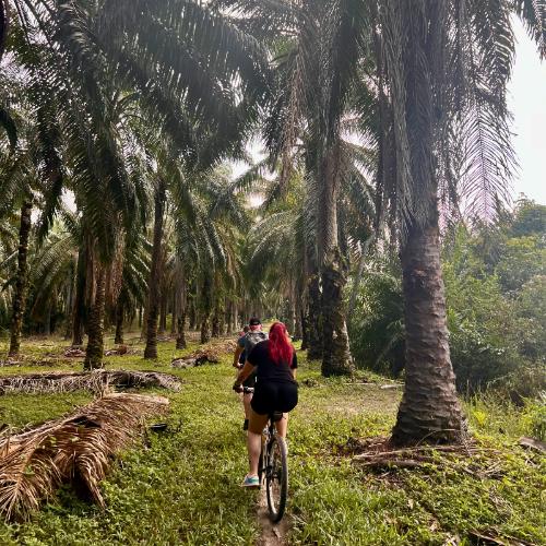 Reizigersfoto per fiets door jungle