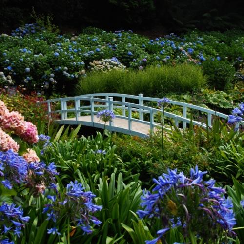 Trebah Garden
