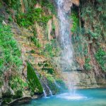 Ein Gedi