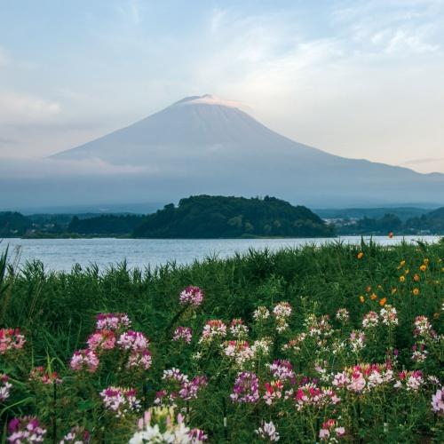 Oishi Park