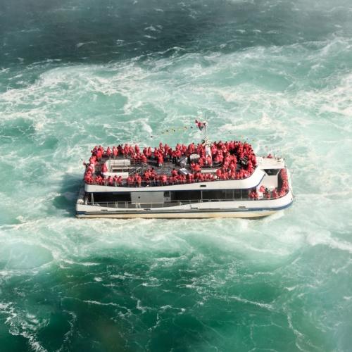 Hornblower cruise