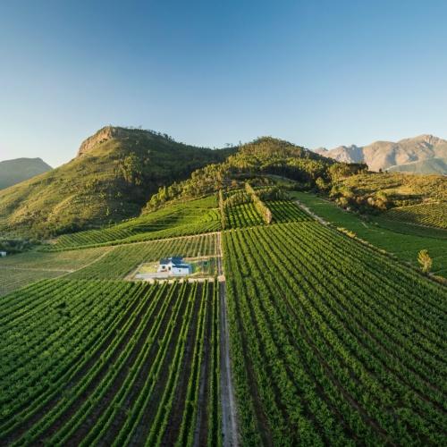 Stellenbosch