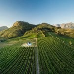 Stellenbosch