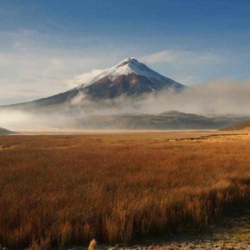 Cotopaxi Nationaal Park