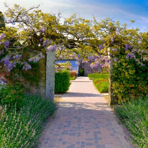 The Lost Gardens of Heligan