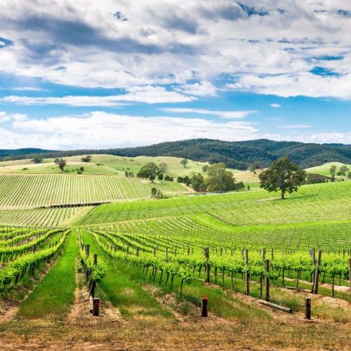 Barossa Valley