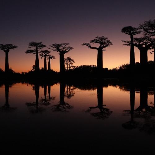 Reizigersfoto Madagaskar