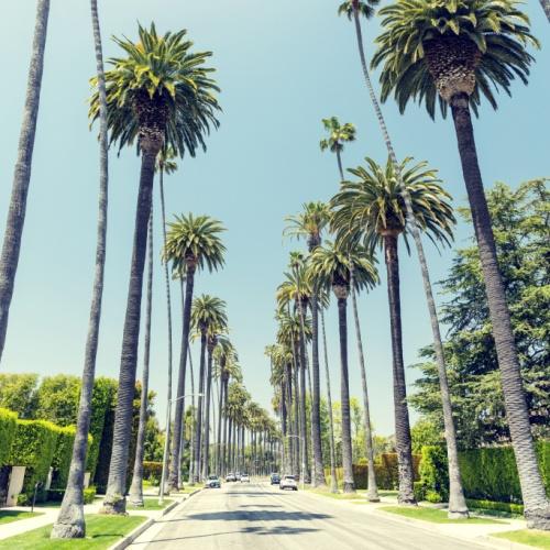 Los Angeles, Beverly Hills drive