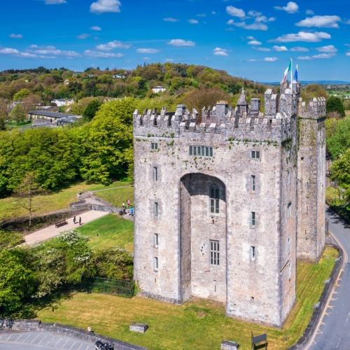 Bunratty Castle & Folk Park