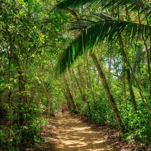 Cahuita Nationaal Park