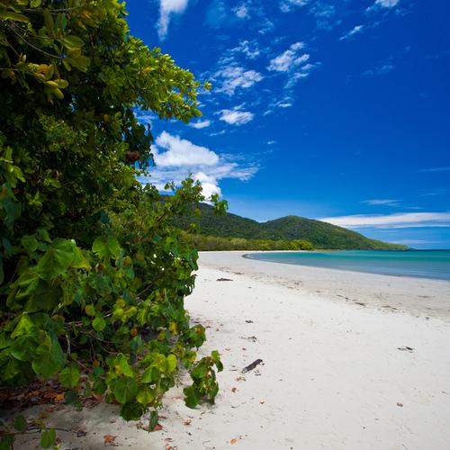 Cape Tribulation