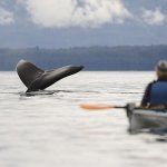 Icy Strait Point, Alaska