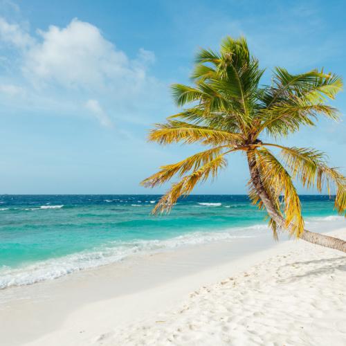 Malediven, zee, strand