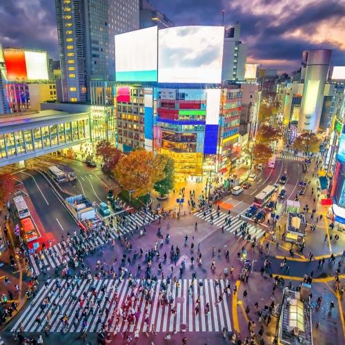 Tokyo, Shibuya kruispunt