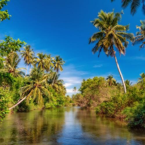 Lagune Negombo
