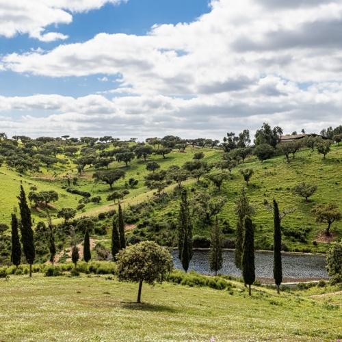 Vale do Guadiana