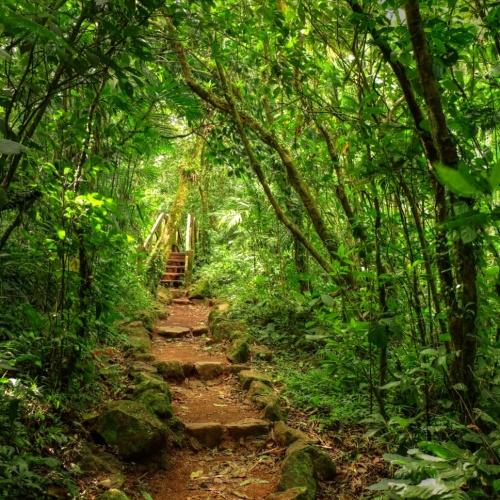 Crater Trail bij vulkaan Mombacho