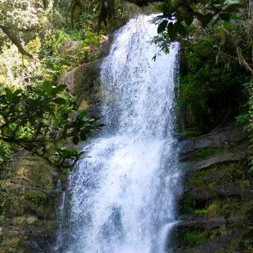 Ranomafana Nationaal Park waterval