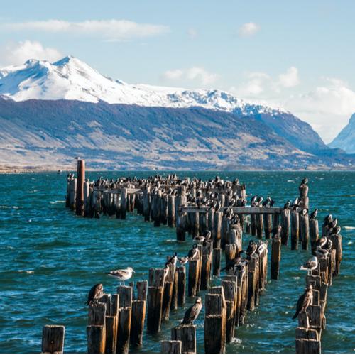Puerto Natales