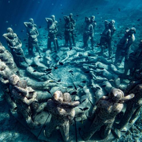 Taylor Nest, Gili Meno