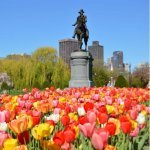Boston Common