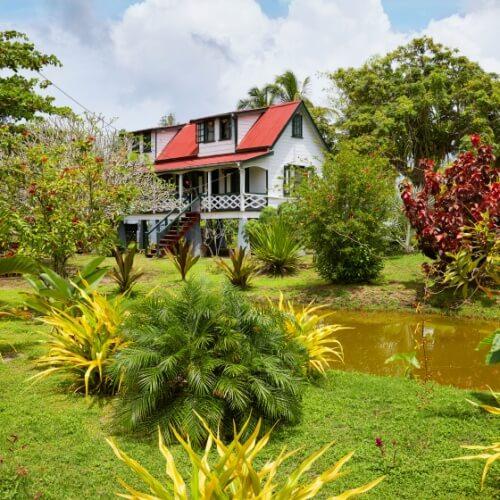 Plantage Frederiksdorp, Suriname