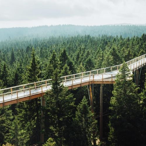 Maribor, Treetop Walk Pohorje