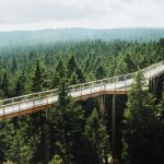 Maribor, Treetop Walk Pohorje