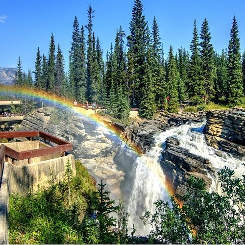 Athabasca Falls