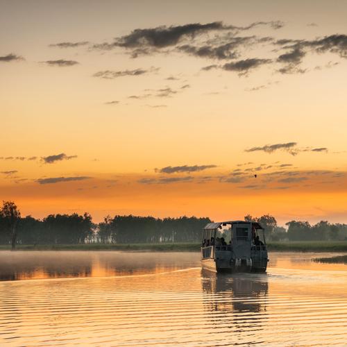 Yellow Water Cruise