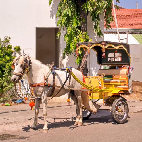 Paard en wagen