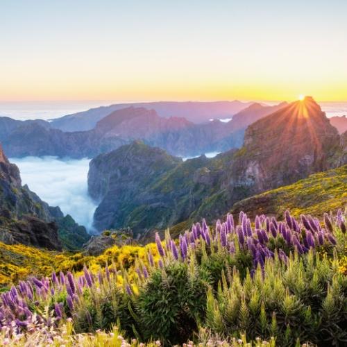 Pico do Arieiro