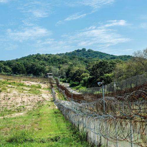 DMZ Tour
