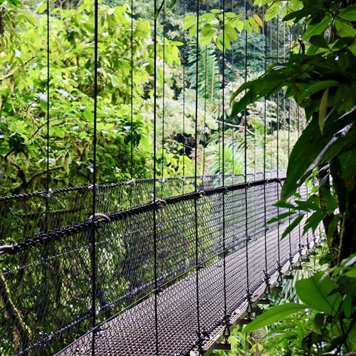 Hangbrug in Mistico Park