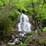 Glenn Moss Falls, Green Mountains