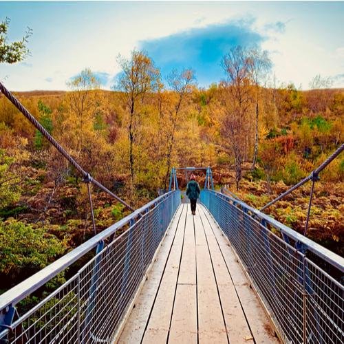 Scholand Corrieshalloch Gorge