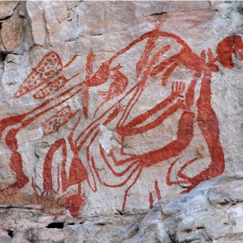 Muurschildering Kakadu