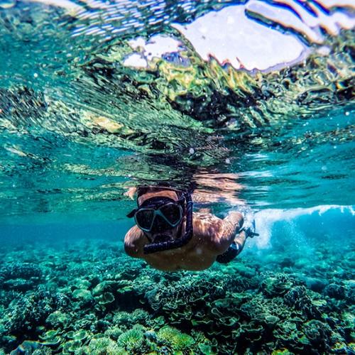 Snorkelen bij Gili eilanden