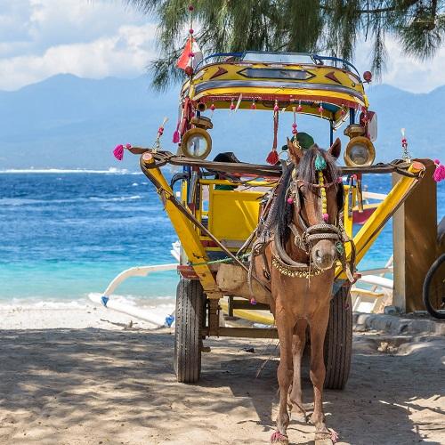 Paard en Wagen op Gili Air