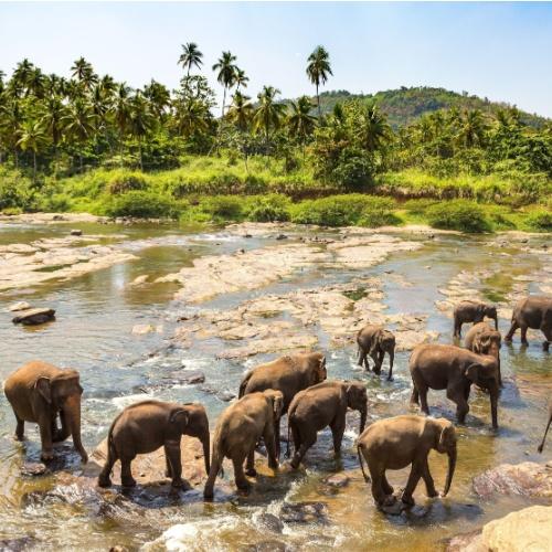 Kandy, Sri Lanka