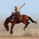 Rodeo Cowboy