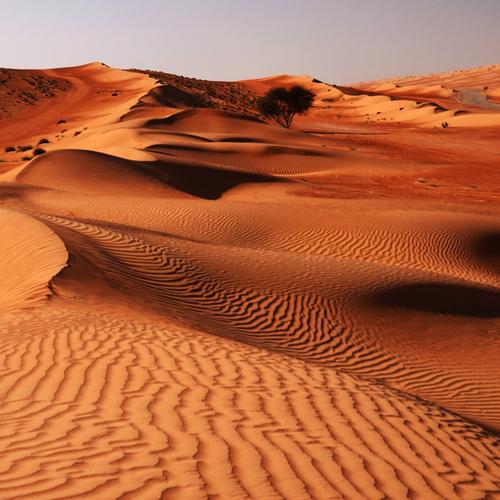 Wahiba Sands in Oman