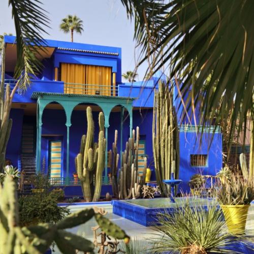 Garden of Majorelle